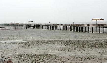 《星露谷物语》更新1.5.5版本 下版本或有新可玩内容